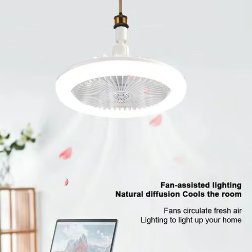Modern Ceiling Fan with Light 2-In-1 Low Profile Ceiling Fans 24CM