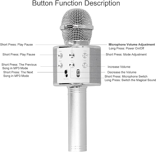 Wireless Microphone Hifi Speaker Handhled KTv WS-858